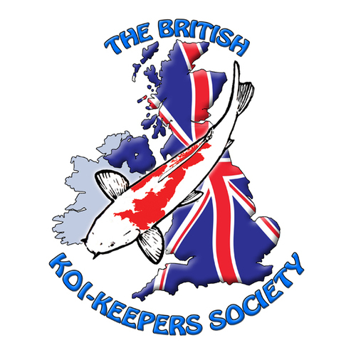 The British Koi - Keepers' Society (B.K.K.S.) was founded in 1970 by a small group of like minded people who shared a common interest in Nishikigoi (Koi).