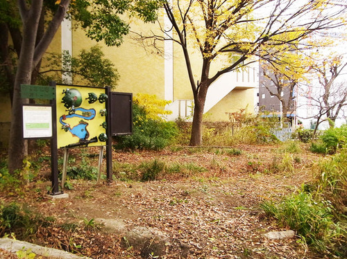 JR新大阪駅東口近くにある「日之出児童公園ビオトープ」を、近からず遠からず気にしていく会です。月１回の清掃報告を中心にしていきたいと思います。みなさんの参加もお待ちしています。