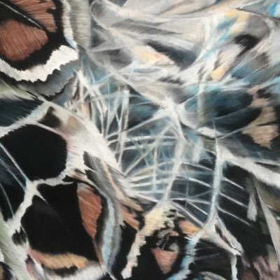 Taniahc1's profile picture. Artist