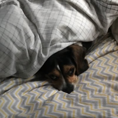 WLindars's profile picture. The cute punk girl from next door. #SEO madwoman. #Blogs and Tweets when she remembers to.