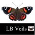 LB Wedding Veils (@saleslbveils) Twitter profile photo LB Wedding Veils (@saleslbveils) Twitter profile photo