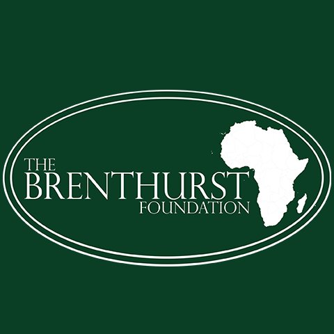 The Brenthurst Foundation Profile