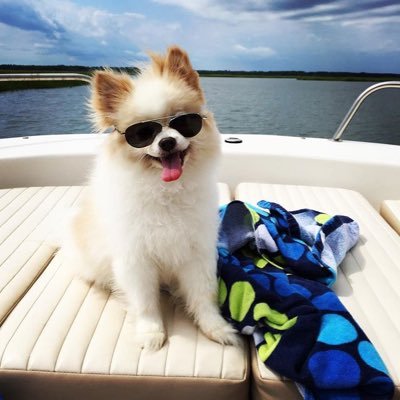 mrstewielopez's profile picture. 