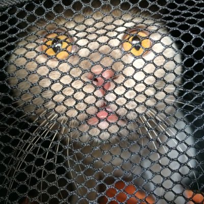 mp16666's profile picture. 