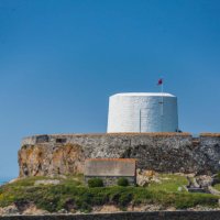Fort Grey (@fortgreygsy) 's Twitter Profile