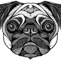 Vizevatandaslik.com (@gezginsen) Twitter profile photo