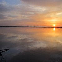 Guadalquivir LTER (@guadalquivilter) 's Twitter Profile Photo