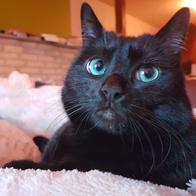 squallmakhno's profile picture. Heureux papa, chéri et fils.
Admirateur circonspect de Dame Nature.
Patriote anciennement de gauche, désormais c'est compliqué.