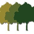 In April 2011 former editor of Advanced Carp Fishing Magazine and Carpworld Magazine, Martin Ford obtained a long term lease on the Woodsetts site and lake.