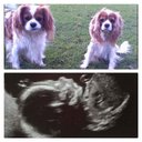 Theresa-Anne Law - @tc_law83 - Twitter