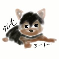 /*とりも*/ (@rtm_vm) 's Twitter Profile Photo /*とりも*/ (@rtm_vm) 's Twitter Profile Photo