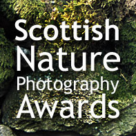 Scottish Nature Photography Awards - Celebrating nature, wildlife and landscape photography in Scotland. Annual Photography & Video Competitions.