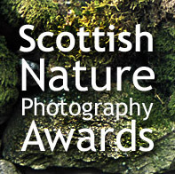 ScotNaturePhotoAwardさんのプロフィール画像