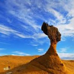 vera_paunovic's profile picture.