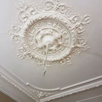 HANS SCHULLER (@stuc_schuller) 's Twitter Profile