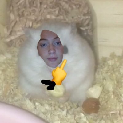 matildatm's profile picture.
