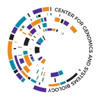 NYU Abu Dhabi CGSB (@nyuadcgsb) 's Twitter Profile