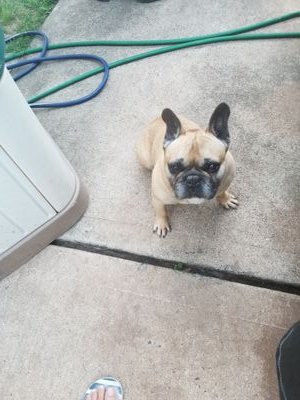 TeddyBentulan's profile picture. 