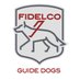 Fidelco Guide Dogs (@fidelco) Twitter profile photo