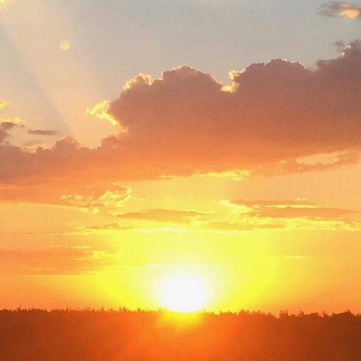 simmairo's profile picture. sviluppo sostenibile? per chi o per cosa? forse solo per la nostra coscienza!