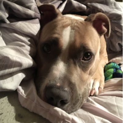 sf_jchow's profile picture. Live life and Prosper.