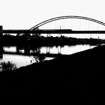 ThisElk's profile picture. they/them