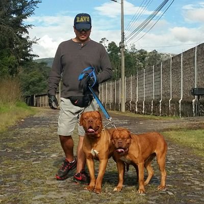 alfredcarrera63's profile picture. Analista de seguridad. Creador y Administrador de proyectos. Me gusta conducir y viajar.
Me sigues 🔛 te sigo 🔁