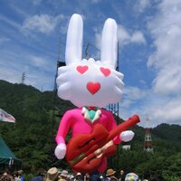Yoko. K (@yoko_0816) 's Twitter Profile