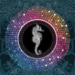 mesocreso's profile picture. DC-based, cross-cultural arts collective cultivating creativity without boundaries. Local fetes with global beats.