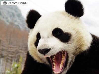 noripanko's profile picture. ようこそ♪気に入ってもらえたらフォローお願いしたいです♪ よろしくお願いしますヾ(ω*)ﾉ ちなみにフォロワーの皆様は美男美女ばっかですｗ