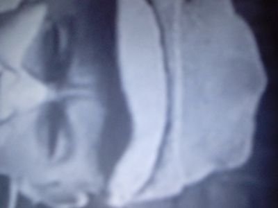 UnitedxDomain's profile picture. Bio