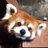 JikonDD's avatar