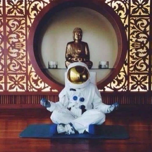 SeanNorse's profile picture. Portfolio management