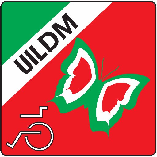 UILDM Dir. Naz.