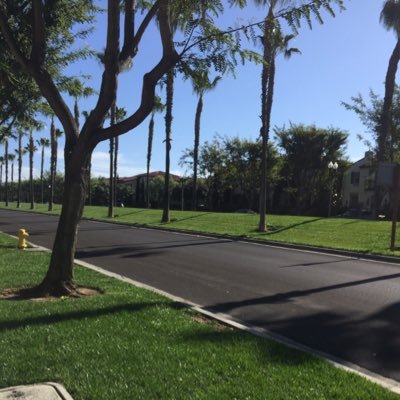 WayenLv's profile picture. Software Engineer