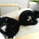 David Ely - @phebeandmia - Twitter