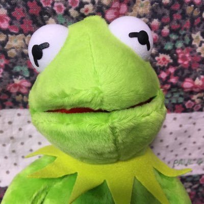 amo_re_key's profile picture. 