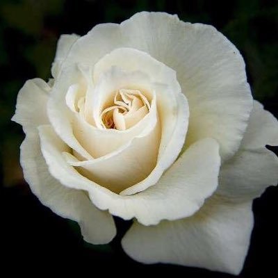 nourh_nourh198's profile picture. أكاديمية س🇸🇦ع🇸🇦و د🇸🇦ية في ( اللغة والنحو والصرف) بقسم اللغة العربية بجامعة طيبة