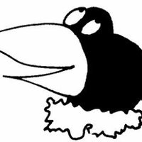 Kuckucksnest Aachen (@aachennest) Twitter profile photo