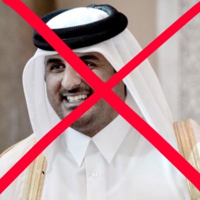 مواطن قطري اهتم بكرامة دولتي وعروبتها من نظام ال ثاني وكذب الجزيرة واهدفها الصهيونية