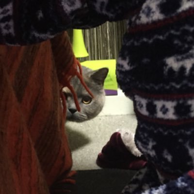 tetsuonaka's profile picture. 