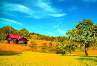 NavneetKatiya14's profile picture. My attitude