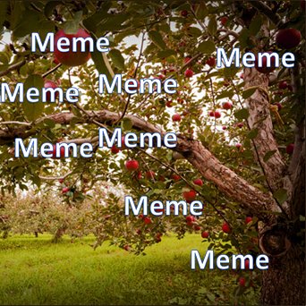 Come one come all to the orchard, where dreams come true! Check out what is fresh off the tree with today's technology meme!