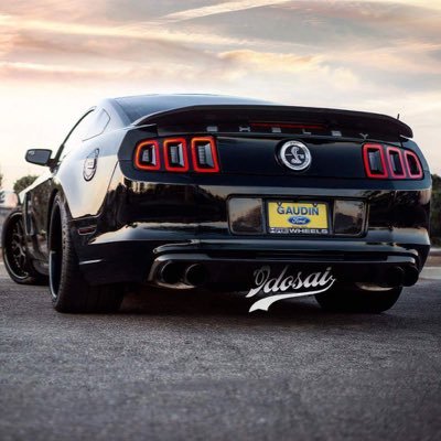 Welcome to Shelby topic!😈🐍 Other page @mustangtopic