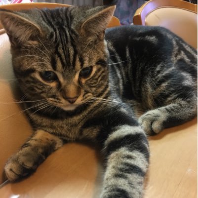 yukkekon's profile picture. 