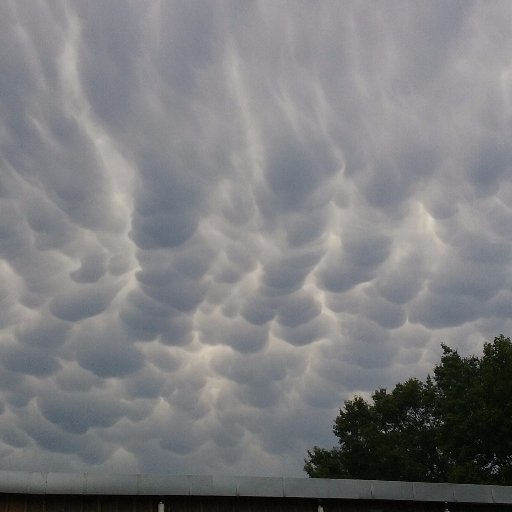 chrisgaines66's profile picture. 