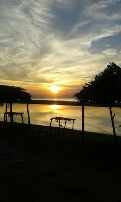 ArreguiSanz's profile picture. Voluntaria ONG Acoes Zarautz