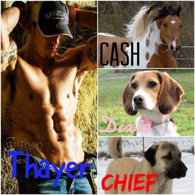 BullRider391's profile picture. Thayer: #Taken: @Sexy_SniperGirl (Jade), 35, bull rider, farmer //Cash: male, farm horse //Dixie: female, hunting dog //Chief: male, hunting/guard dog