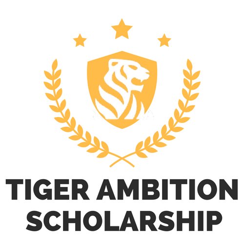 The Class of 2015 proudly offers the Tiger Ambition Scholarship for the seniors of Edwardsville High School.