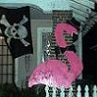 (((betha))) 🐈‍⬛💙🏴‍☠️ (@psychobetha) 's Twitter Profile Photo